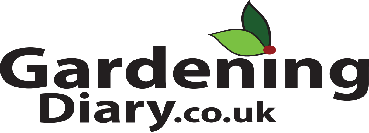 – Advertisement –